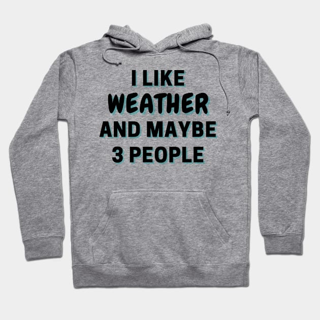 I Like Weather And Maybe 3 People Hoodie by Word Minimalism